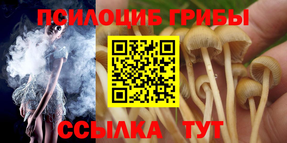 Псилоцибиновые грибы ЛСД Ишим